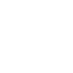 NIP CS2 Logo